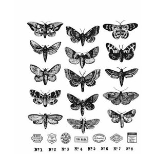 May include: Black and white illustrations of 8 different types of moths. Each moth is labeled with a number from 1 to 8. The text "Type Slide" is also included in the image.