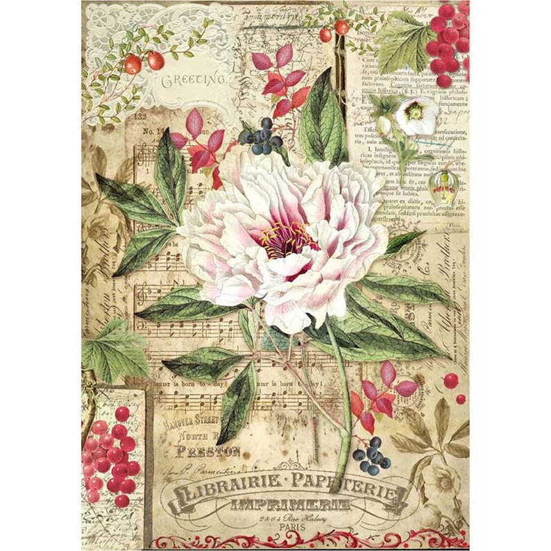 Tapiz Mandala Indio Mensula Cobertor Cama Tapices Fatima Mano