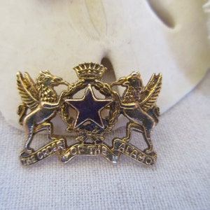 Vintage ORDER Of The ALAMO Pin