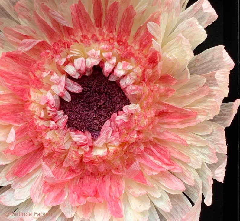 Beautiful Handmade Gerbera Daisy in a Frame - Ready to Hang Up or Display on a Shelf - Paper Daisy -Actual Flower you will Receive - Daisy - .br Beautiful Handmade Gerbera Daisy in a Frame - Ready to Hang Up or Display on a Shelf - Paper Daisy -Actual Flower you will Receive - Daisy - .br