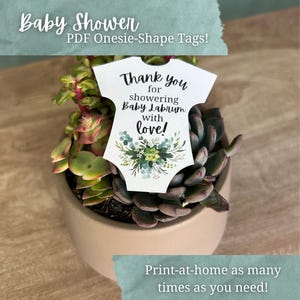 Bomboniere fai da te con fiori succulenti per baby shower / Etichetta personalizzata per body per neonata da stampare a casa / Decorazioni per baby shower a tema vegetale