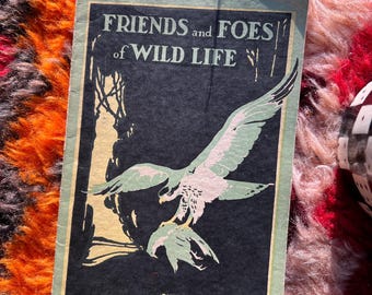 1930's Friends And Foes Of Wildlife Pamphlet