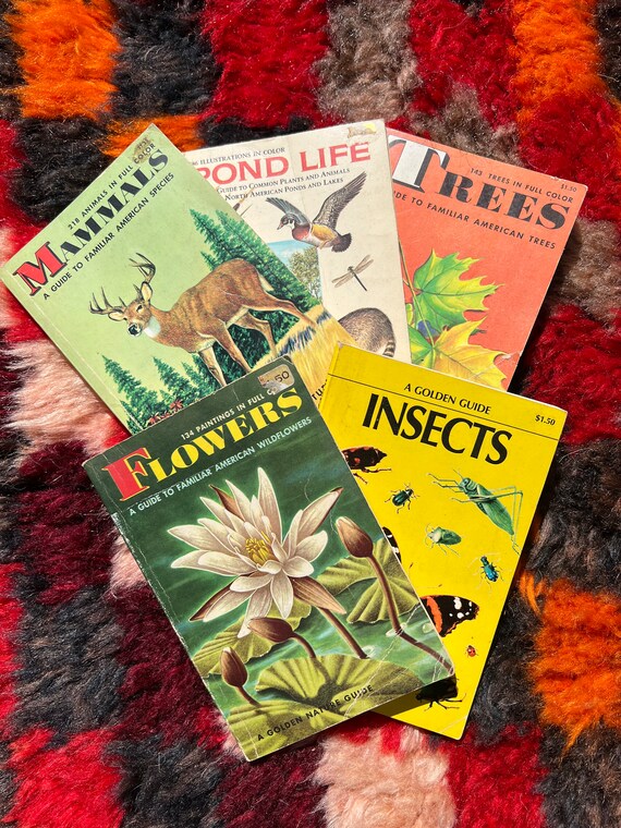 Collection Of Five 1950's Golden Nature Guide Books: Insects, Flowers, Mammals, Trees And Pond Life