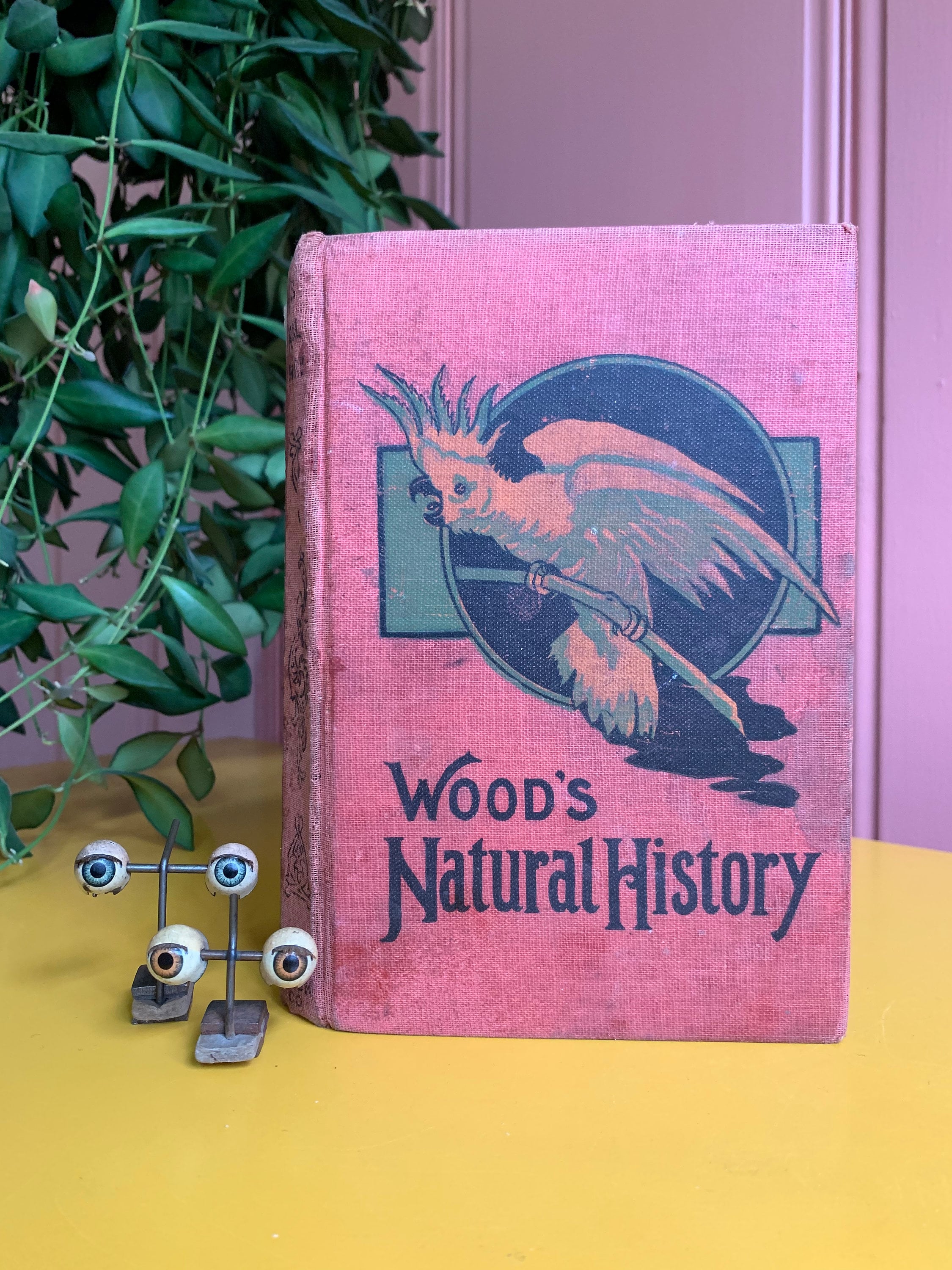 Antique Woods Natural History Illustrated Story Book, 1912