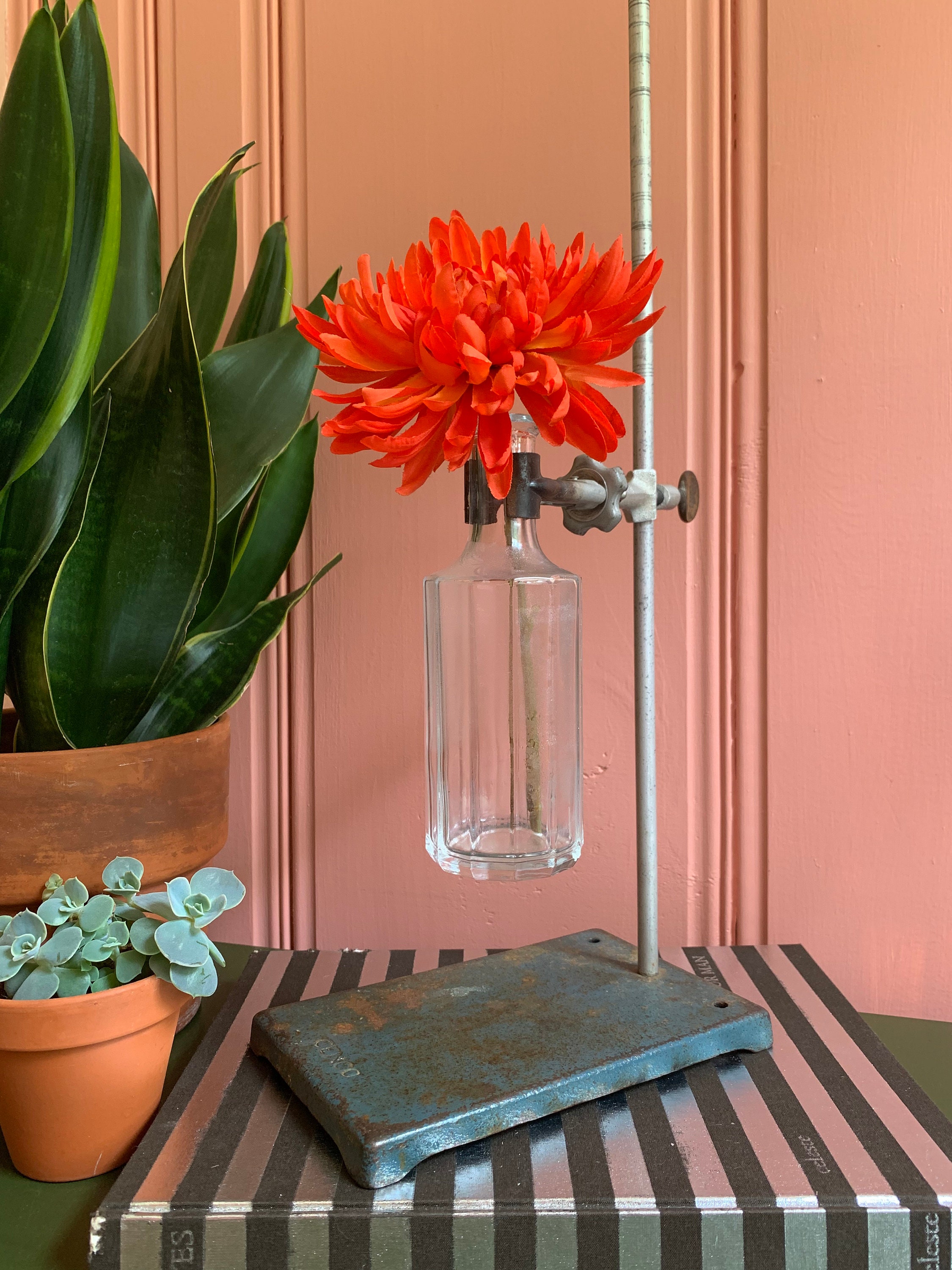 Test Tube Holder Lamp Or Vase