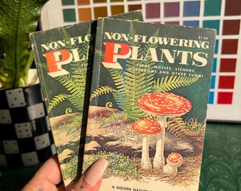 1960's Non Flowering Plants Golden Nature Guide Book: Ferns, Mosses, Lichens, Mushrooms And Other Fungi