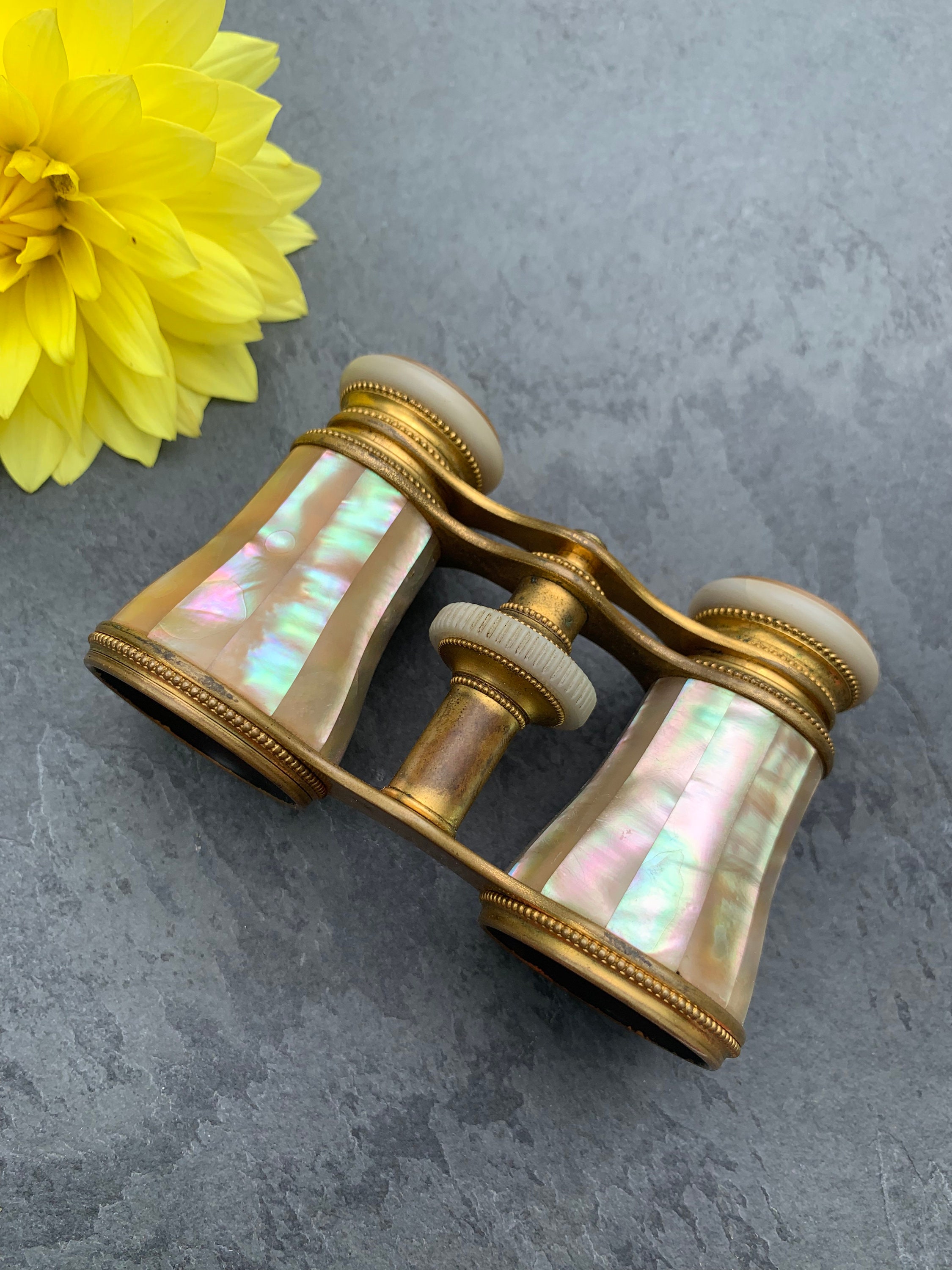 paris opera glasses