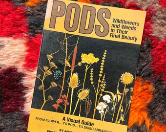 1970's PODS: A Visual Guide Of Wildflowers And Weeds In Their Final Beauty