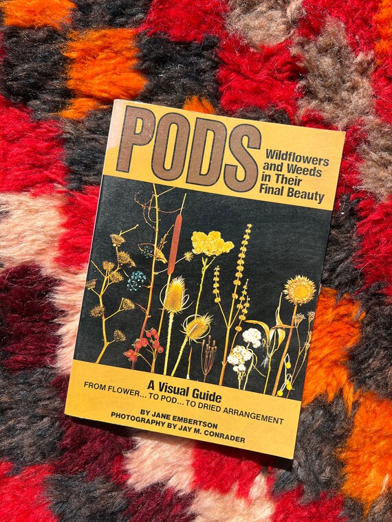 1970's PODS: A Visual Guide Of Wildflowers And Weeds In Their Final Beauty