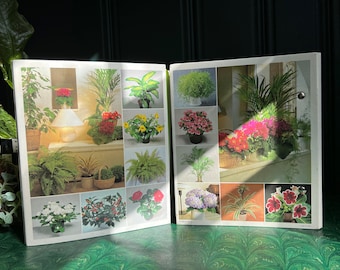 Set Of Two Vintage "Success With Houseplants" Binder Books, 1985