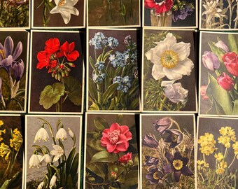 Cards & Paper 