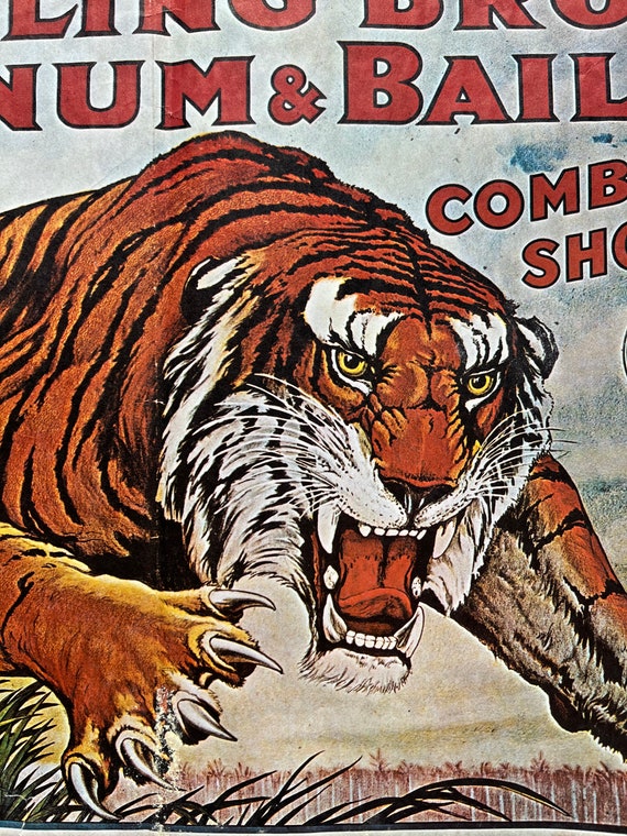 Original Vintage Ringling Bros Circus Advertisement Poster With Fierce Tiger