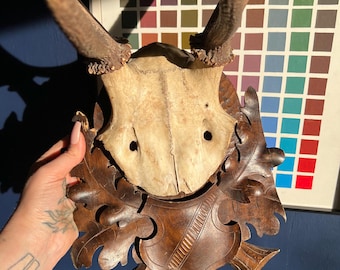 LOCAL PICKUP ONLY: Antique Stag Antler Mount, Black Forest Bavarian Carved Wooden Shield Plaque