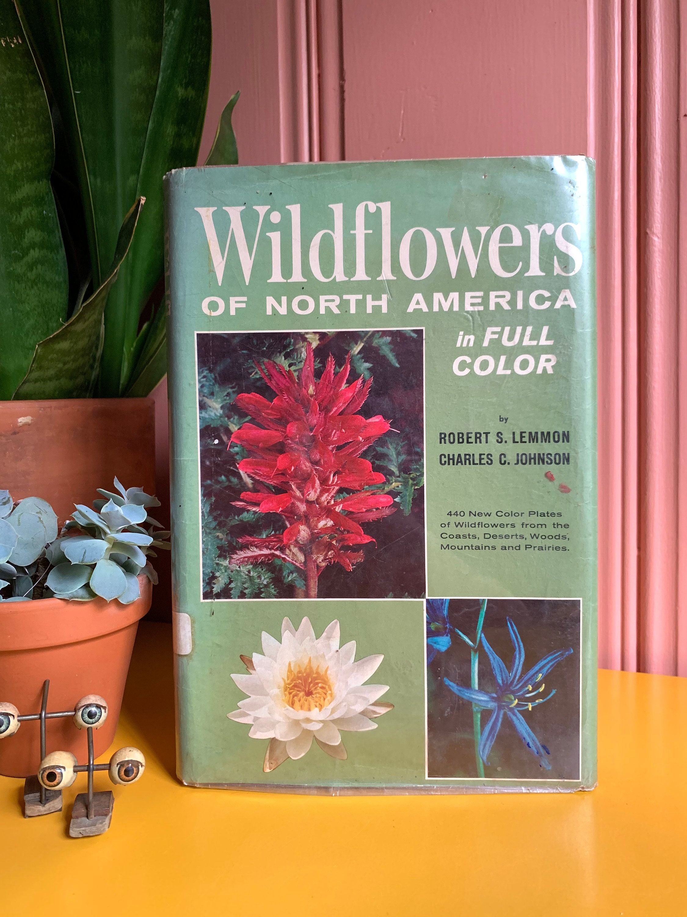 1960's Wild Flowers Of North America In Full Color Reference Book