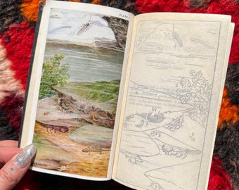 1930's First Edition Field Book Of Ponds And Streams