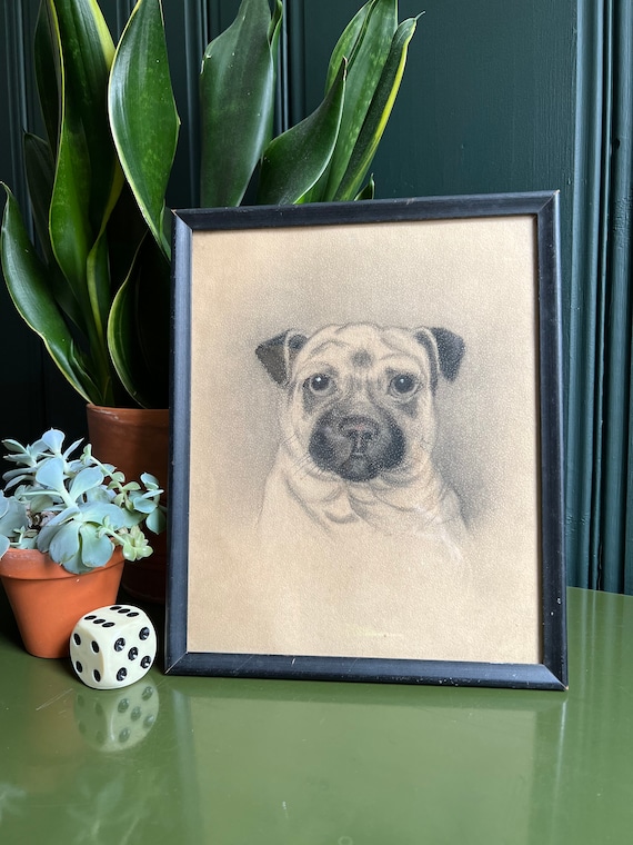 Antique Pug Portrait In Original Frame