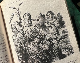Vintage "Alice's Adventures In Wonderland & Through The Looking-Glass" By Lewis Carroll