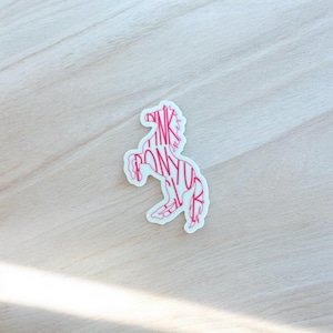 Pink Pony Club Horse Sticker- Chappell Roan
