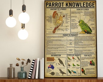 Parrot Knowledge Poster, The Anatomy of A Parrot, Parrot Vs Parakeet, Types Of Parrot, Parrot Fun Facts, Parrot Signs Of Illness