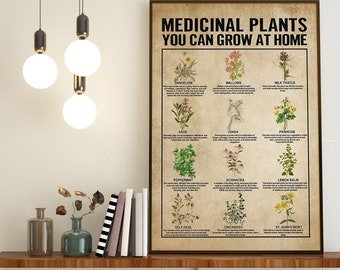 Medicinal Plants You Can Grow At Home, Medicinal Plants Knowledge, Kitchen Decoration, Plants Knowledge Poster, Kitchen Wall Hanging