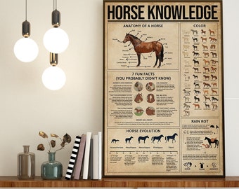 Horse Knowledge Art Print, Anatomy Of A Horse, Horse 7 Fun Facts, Horse Evolution, Horse Color, Horse Lovers Gift, Horse Wall Decor