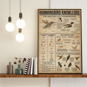 Hummingbird Knowledge Poster, The Anatomy of a Hummingbird, Types of Hummingbirds, Hummingbird Fun Facts, Hummingbird Wall Hanging