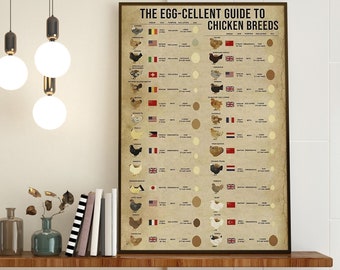 The Egg-Cellent Guide To Chicken Breeds, Kitchen Decoration, Egg Knowledge Wall Decor, Kitchen Wall Hanging, Breeds Of Chickens Knowledge