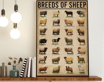 Sheep Knowledge Art, Breeds Of Sheep, Vintage Sheep Farm Poster, Farmhouse Wall Decoration, Farmhouse Art Print, Type Of Sheep Poster