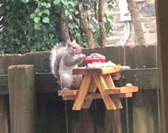 May include: A gray squirrel sits on a small wooden picnic table with a red bowl of birdseed. The squirrel is eating the birdseed.
