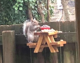 May include: A grey squirrel sits on a miniature wooden picnic table with a red bowl of food. The table is made of unfinished wood and has a small bench on each side.