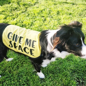 Nervous Dog Yellow vest, Reactive Dog Vest  - Give  Me Space