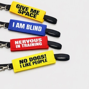 Personalized Dog Reactive Lead Sleeve — Available in Yellow Red Blue Hi Vis , Give Me Space, Reactive Dog, Custom Text