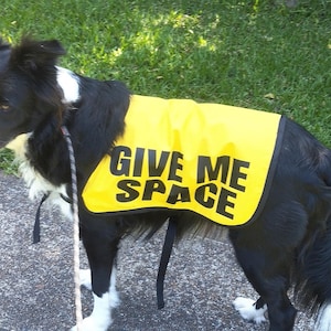 Give Me Space ドッグベスト：神経質で反応しやすい犬用 - イエロー