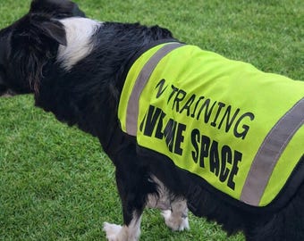 HiVisible Personalisierte Hundeweste - Sicherheitsweste für Training & Outdoor-Abenteuer