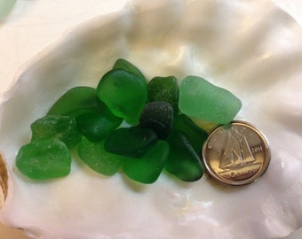 20 Kelly Green Genuine Surf Tumbled Sea Glass Pieces