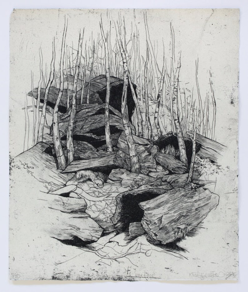 Title: Surface Copperplate intaglio limited edition etching on 300gsm paper. Forest landscape with boulders, stones, line drawing. image 1