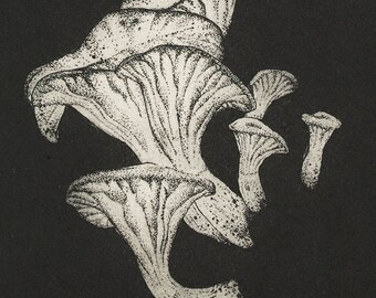 Forest fungi print, hand pulled original etching in limited edition.