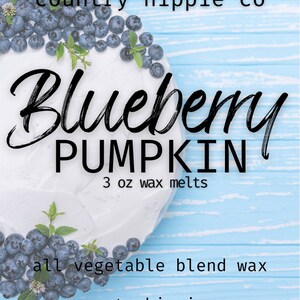 BLUEBERRY PUMPKIN CHEESECAKE Wax Melt
