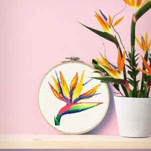 May include: A colourful cross-stitch embroidery of a bird of paradise flower in a wooden embroidery hoop. The flower is yellow, orange, blue, and green.