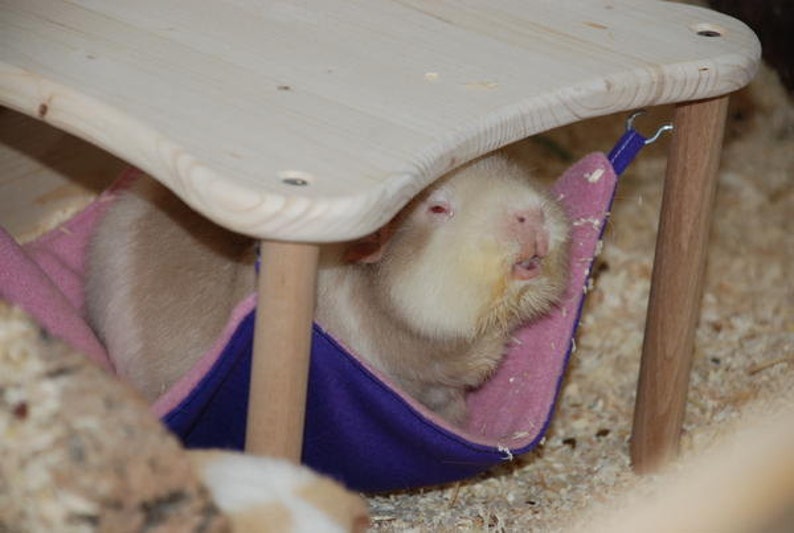 hammock holder with 1 hammock red with white dots for guinea pigs image 3