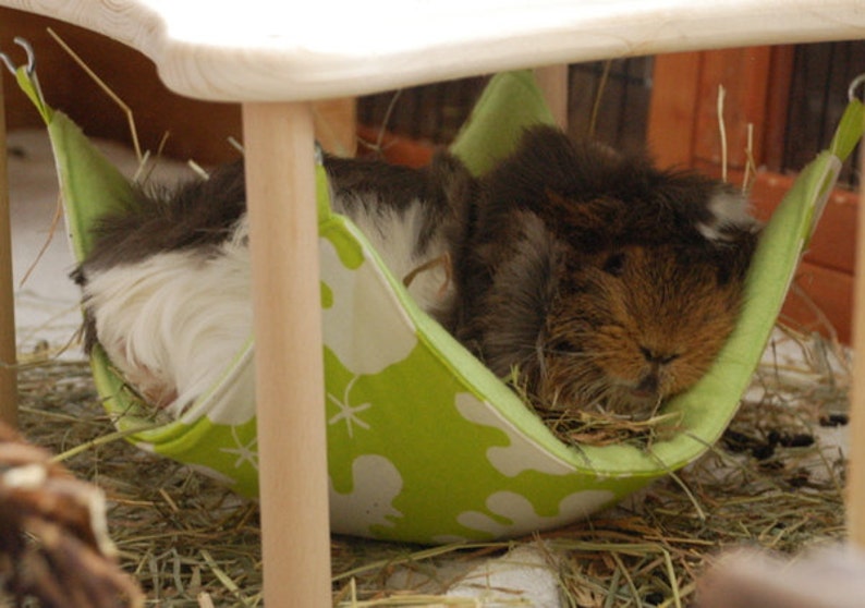 hammock holder with 1 hammock red with white dots for guinea pigs image 5