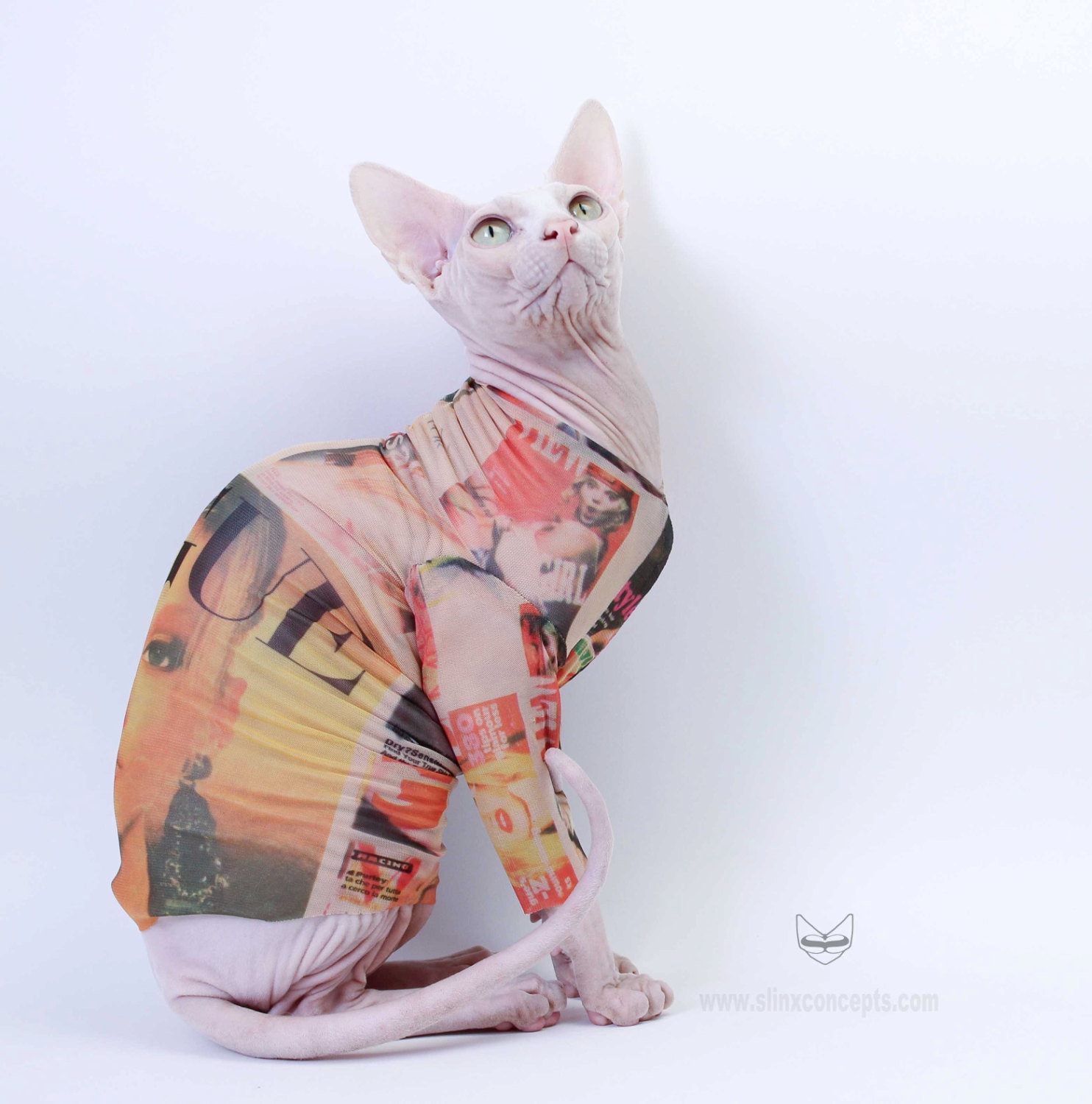 Sphynx Cat Clothes in VOGUE by Tattcat™ Long Sleeve Tattoo Cat Etsy