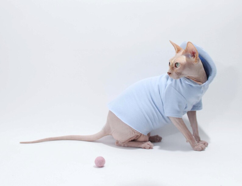 sphynx cat hoodie