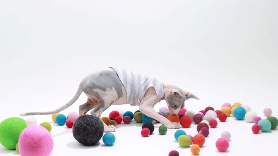 felted wool cat toys