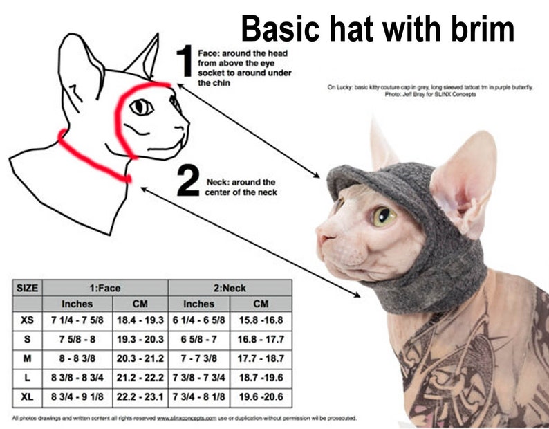 Схема вязания одежды для кошек сфинксов