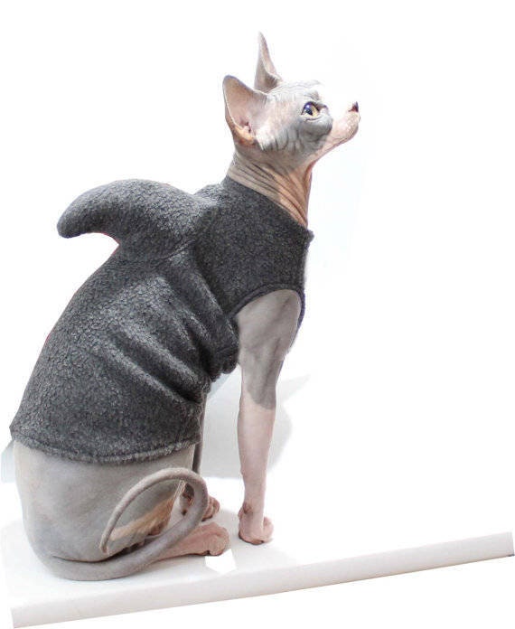 Pet Shark Costume Kitten Shark Cat Sweater new design for Etsy