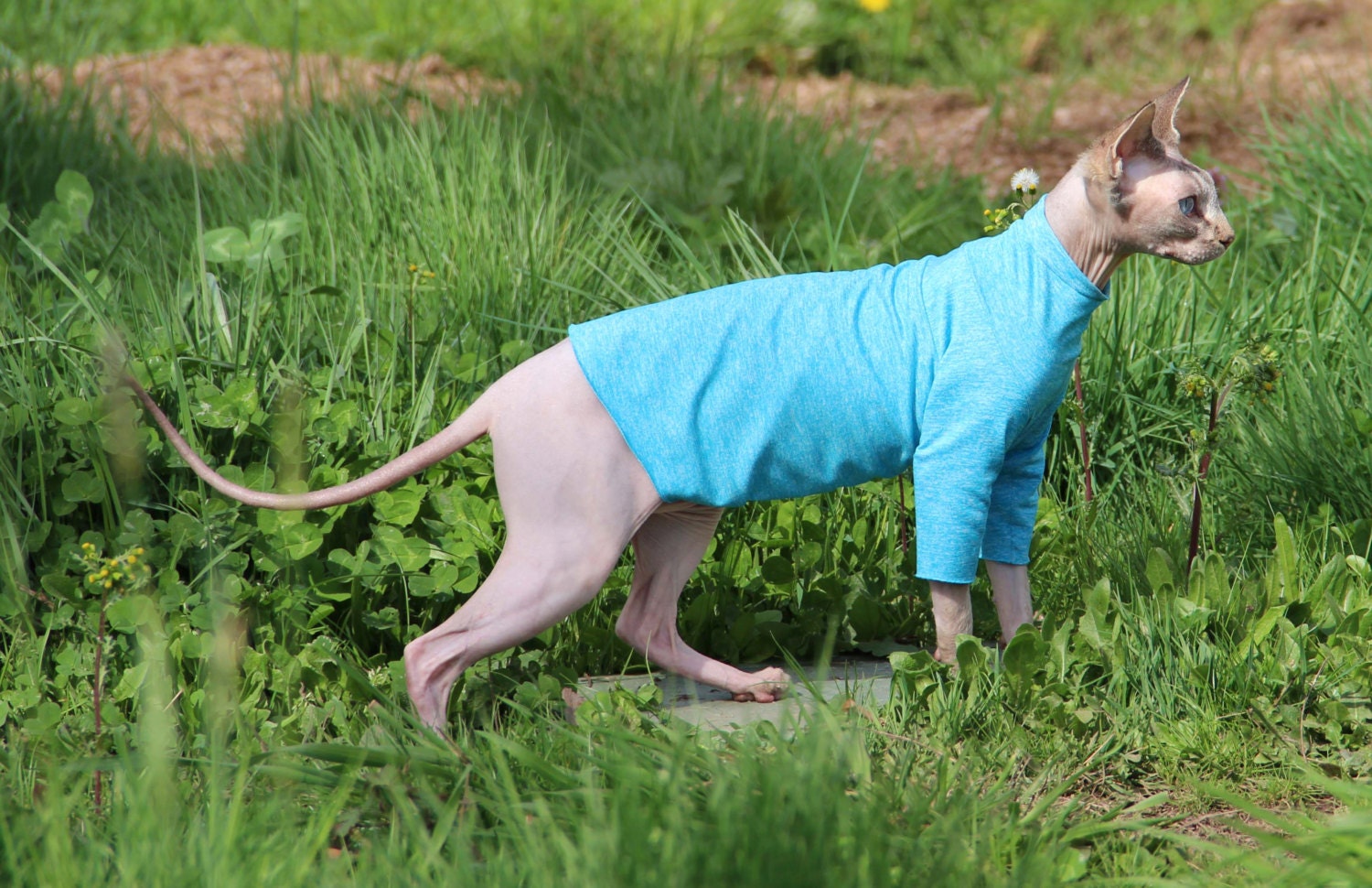 Pet Clothes Sun Protection Sphynx Cat or Dog Clothes Long Etsy