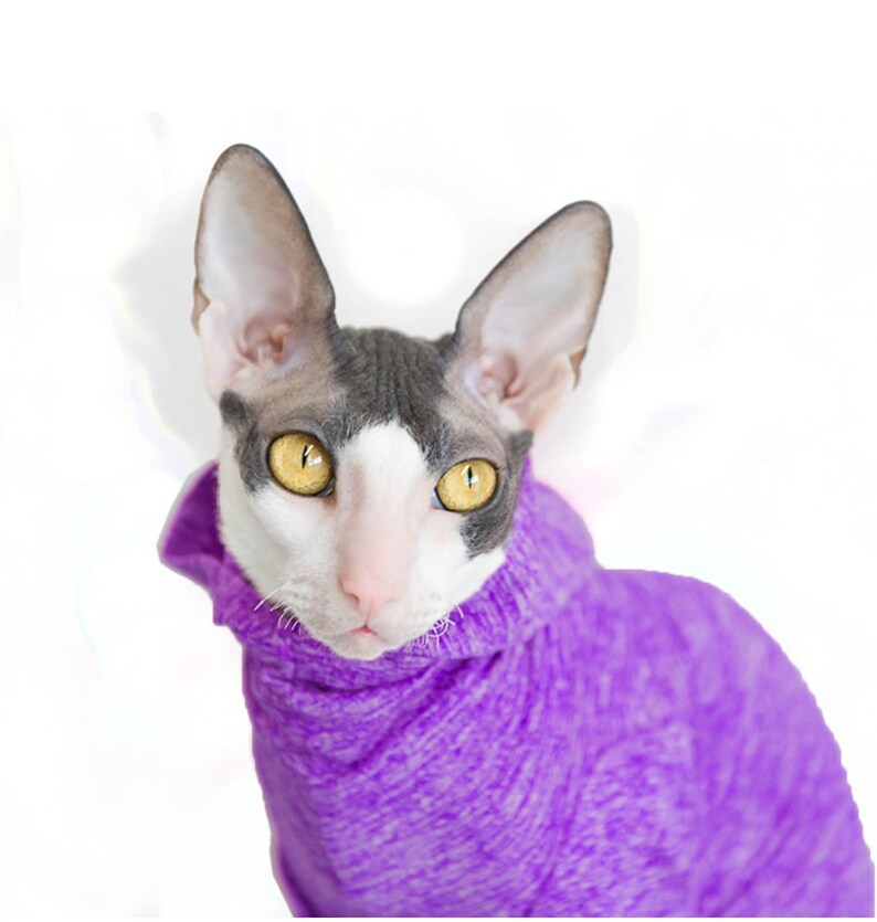 Cat Clothes Sphynx Cat Sweater Sunscreen Sphynx Clothes The Etsy