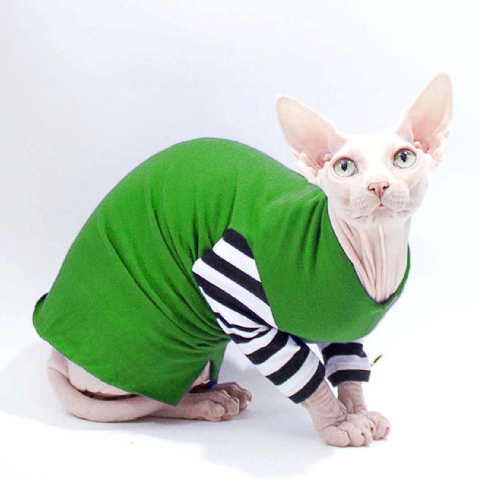 Cat Costume, Simply Sphynx Cat / Dog clothes, Pet Tops. 