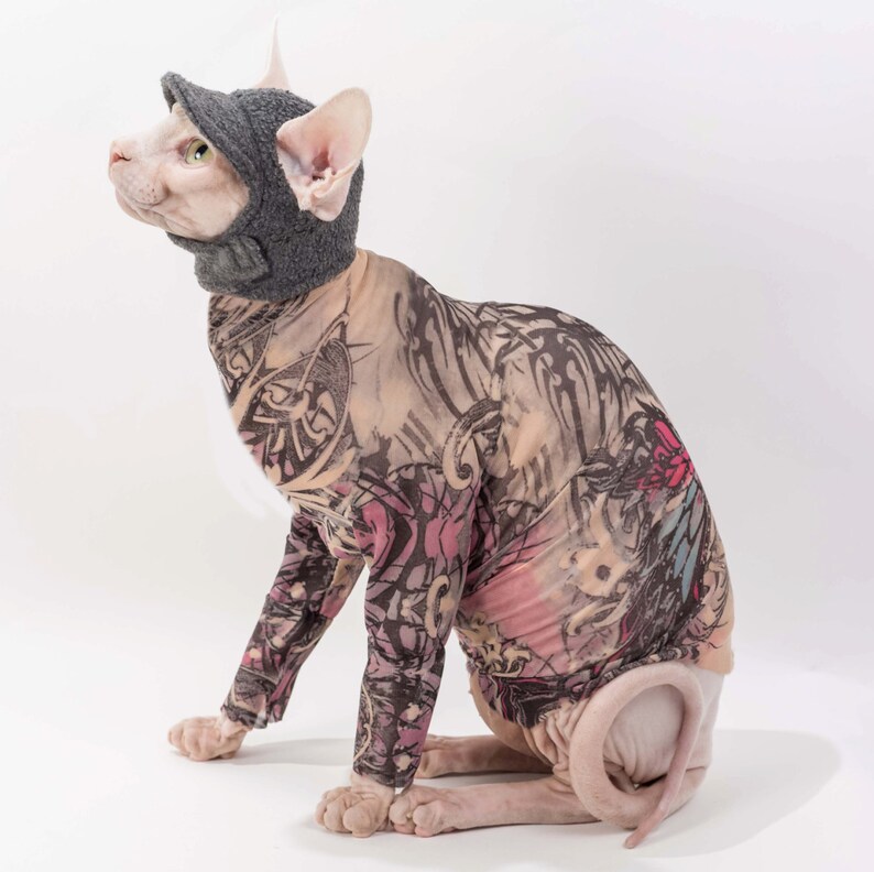 Sphynx Cat Kitten Hat for a Cat The Kitty Cat Cap Hat in Etsy